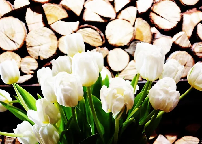 Les Neiges D'antan 4*