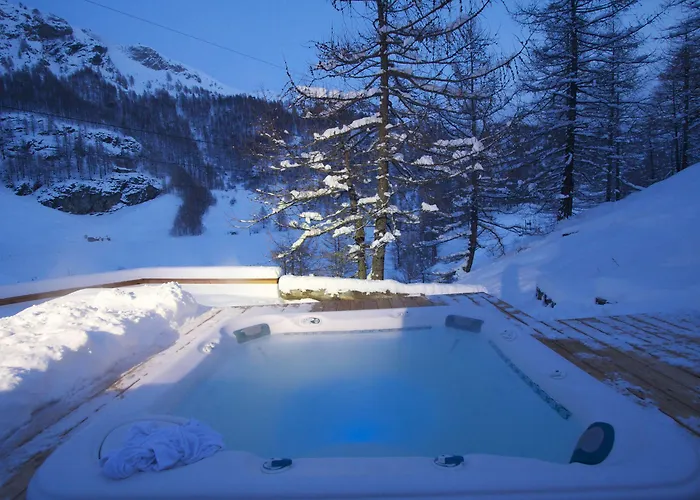 Hotel Les Neiges D'antan 4*